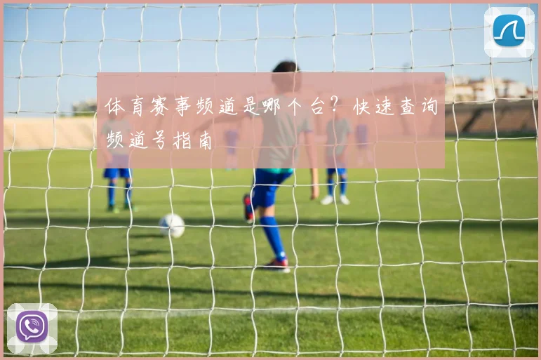 体育赛事频道是哪个台？快速查询频道号指南
