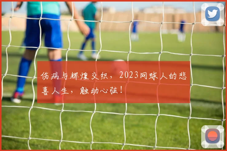 伤病与辉煌交织，2023网球人的悲喜人生，触动心弦！