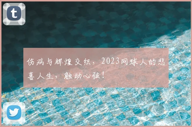 伤病与辉煌交织，2023网球人的悲喜人生，触动心弦！