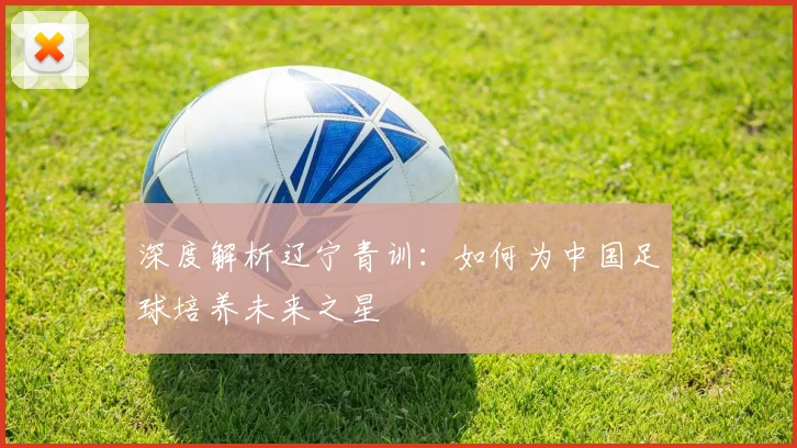 深度解析辽宁青训:如何为中国足球培养未来之星