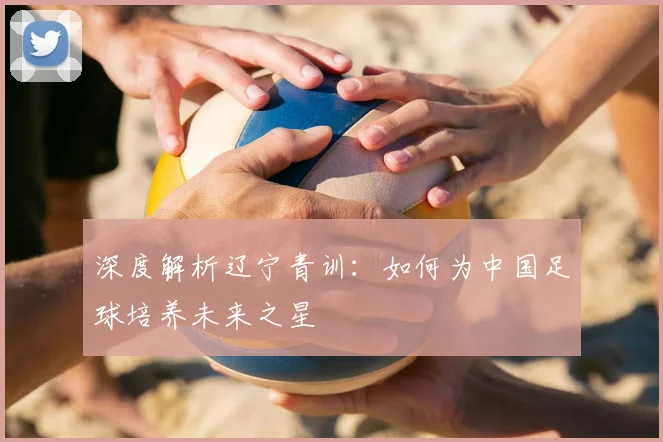 深度解析辽宁青训：如何为中国足球培养未来之星
